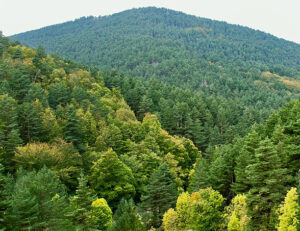 Castilla y León Film Commission » Localizaciones en Castilla y León » 21 de agosto de 2023